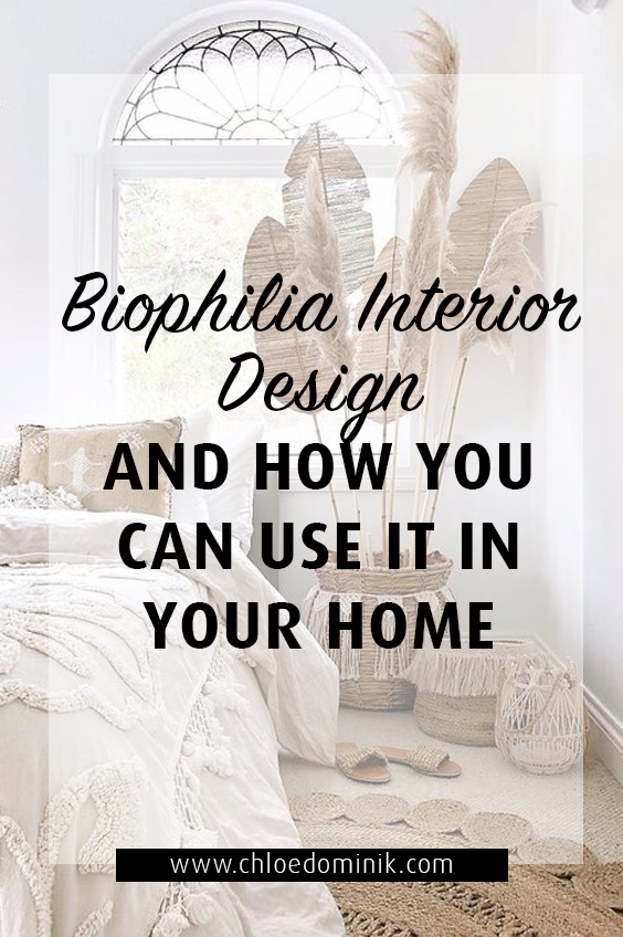 Biophilia Interior Design and How You Can Use It In Your Home