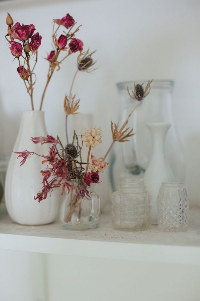 Sculptural dried flower stems in vases. 