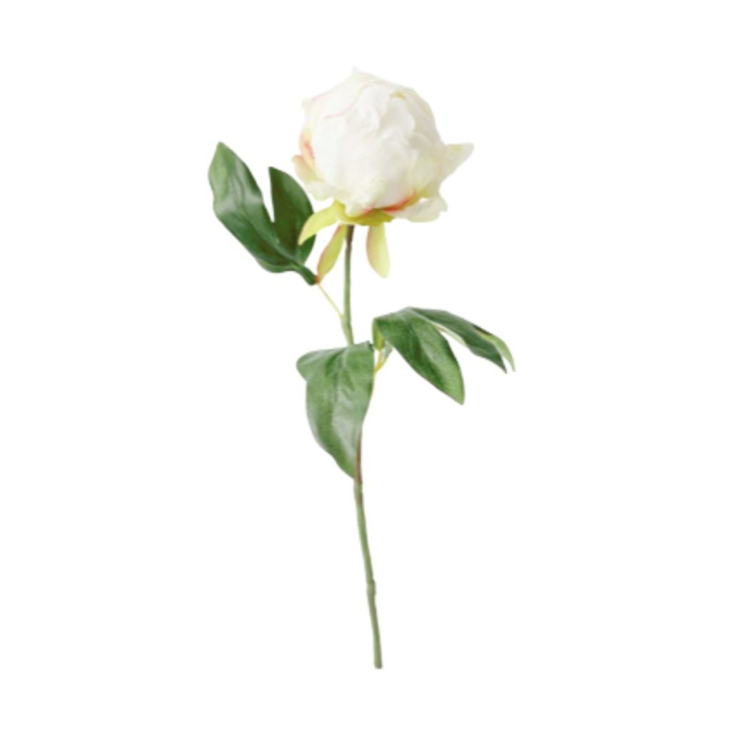 Artificial Cream Flower Peony Bud - Afloral