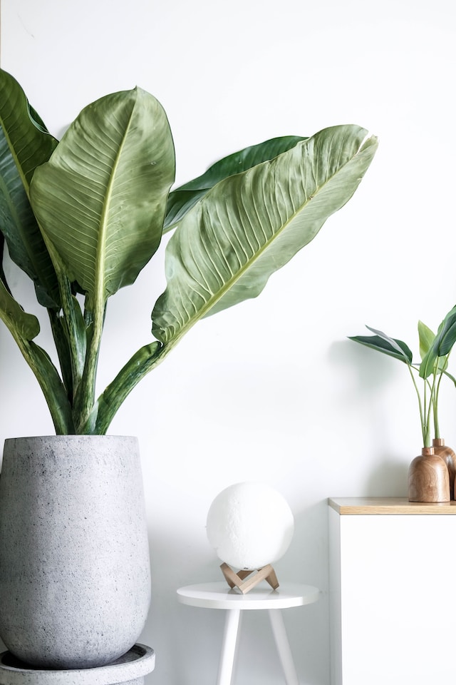 Bend shape and flex your artificial plants
